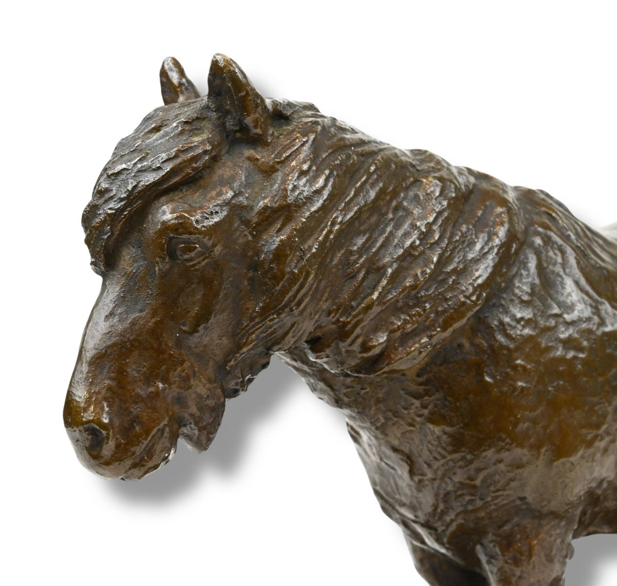 Agnes Lunn - Pony in Bronzo - Danimarca - Inizio XX Secolo-photo-2